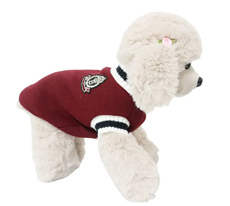 Winter Dog Sweater | College Style V-neck Knitwear for Small Dogs & Puppies – Cozy Puppy Vest & Kitty Jacket