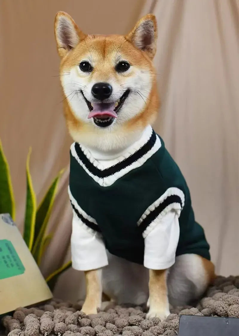 Winter Dog Sweater | College Style V-neck Knitwear for Small Dogs & Puppies – Cozy Puppy Vest & Kitty Jacket