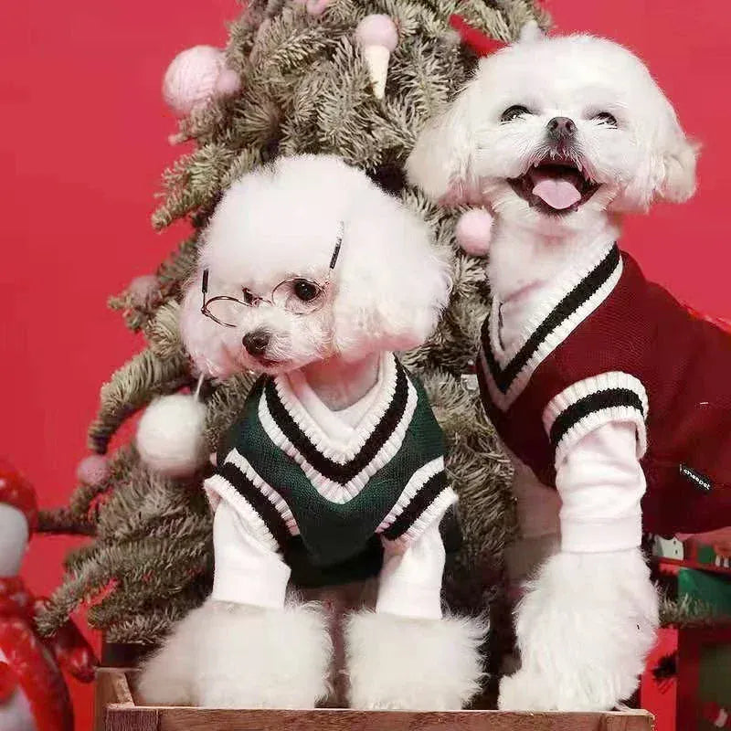 Winter Dog Sweater | College Style V-neck Knitwear for Small Dogs & Puppies – Cozy Puppy Vest & Kitty Jacket