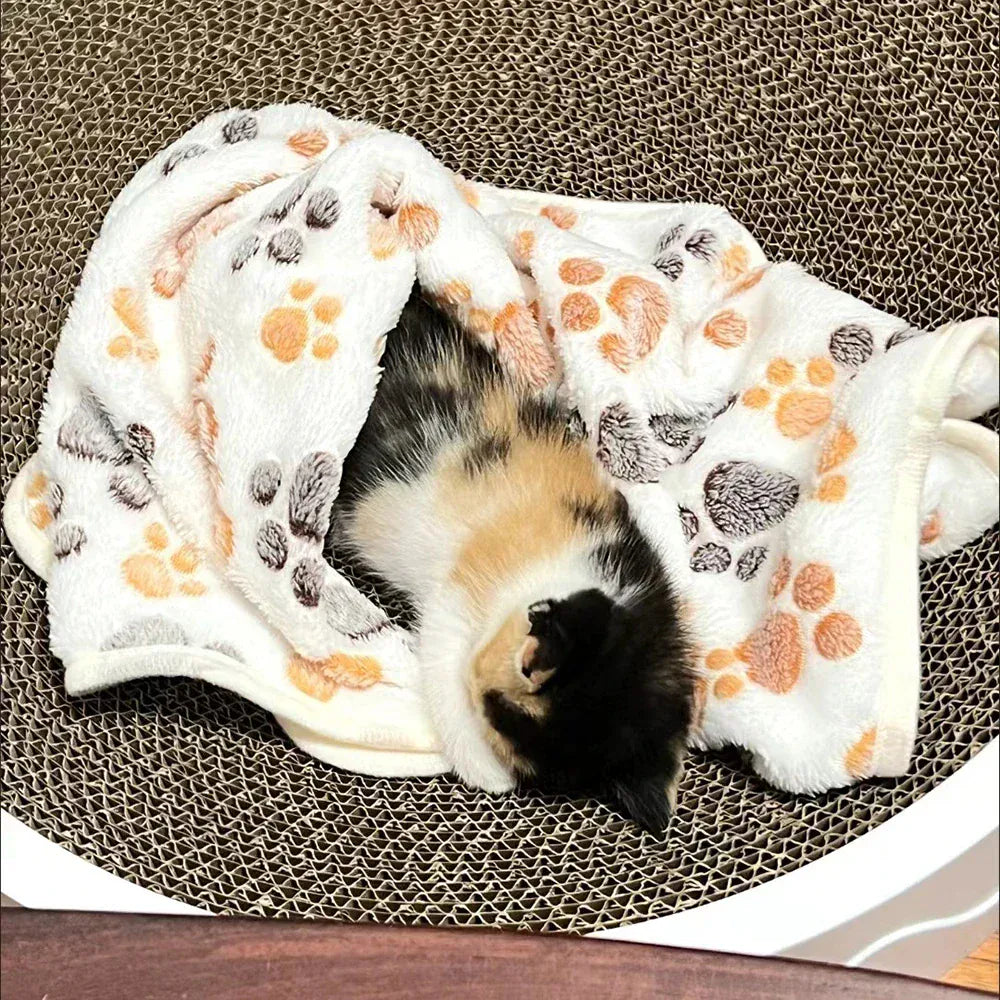 Pet hair resistant blanket keeping furniture clean and fur-free