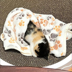 Pet hair resistant blanket keeping furniture clean and fur-free