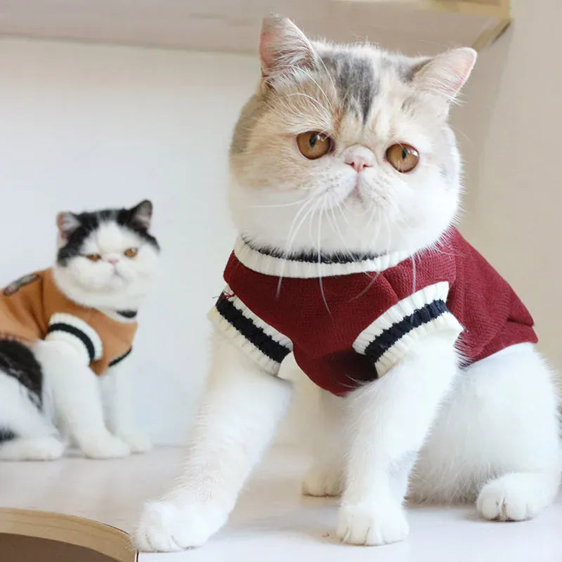 Winter Pet Sweater Pullover | Cozy Dog & Cat Vest, Puppy Jacket & Kitty Costume