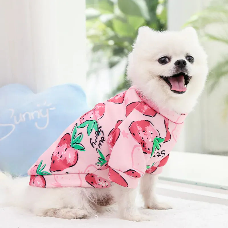 Winter Warm Small Dog Hoodie | Soft Pet Sweatshirt for Bulldogs, Chihuahuas & Shih Tzus | Cozy Puppy & Cat Pullover Coat