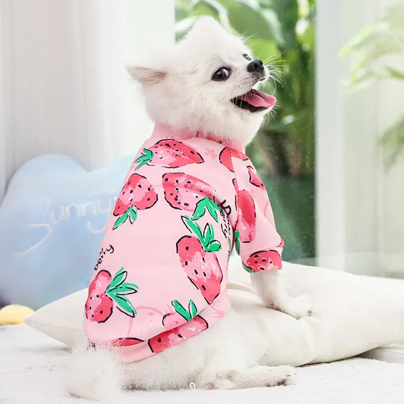 Winter Warm Small Dog Hoodie | Soft Pet Sweatshirt for Bulldogs, Chihuahuas & Shih Tzus | Cozy Puppy & Cat Pullover Coat