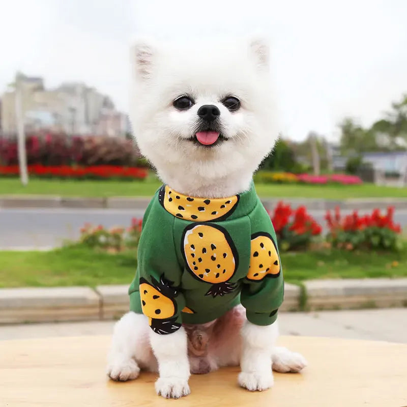 Winter Warm Small Dog Hoodie | Soft Pet Sweatshirt for Bulldogs, Chihuahuas & Shih Tzus | Cozy Puppy & Cat Pullover Coat