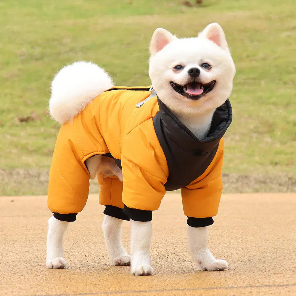 Winter Waterproof Dog Jacket for Small & Medium Dogs | Warm Puppy Coat for Chihuahua, French Bulldog, Pug