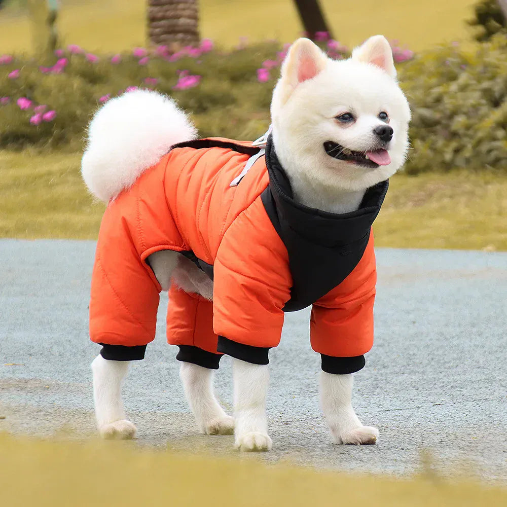 Winter Waterproof Dog Jacket for Small & Medium Dogs | Warm Puppy Coat for Chihuahua, French Bulldog, Pug
