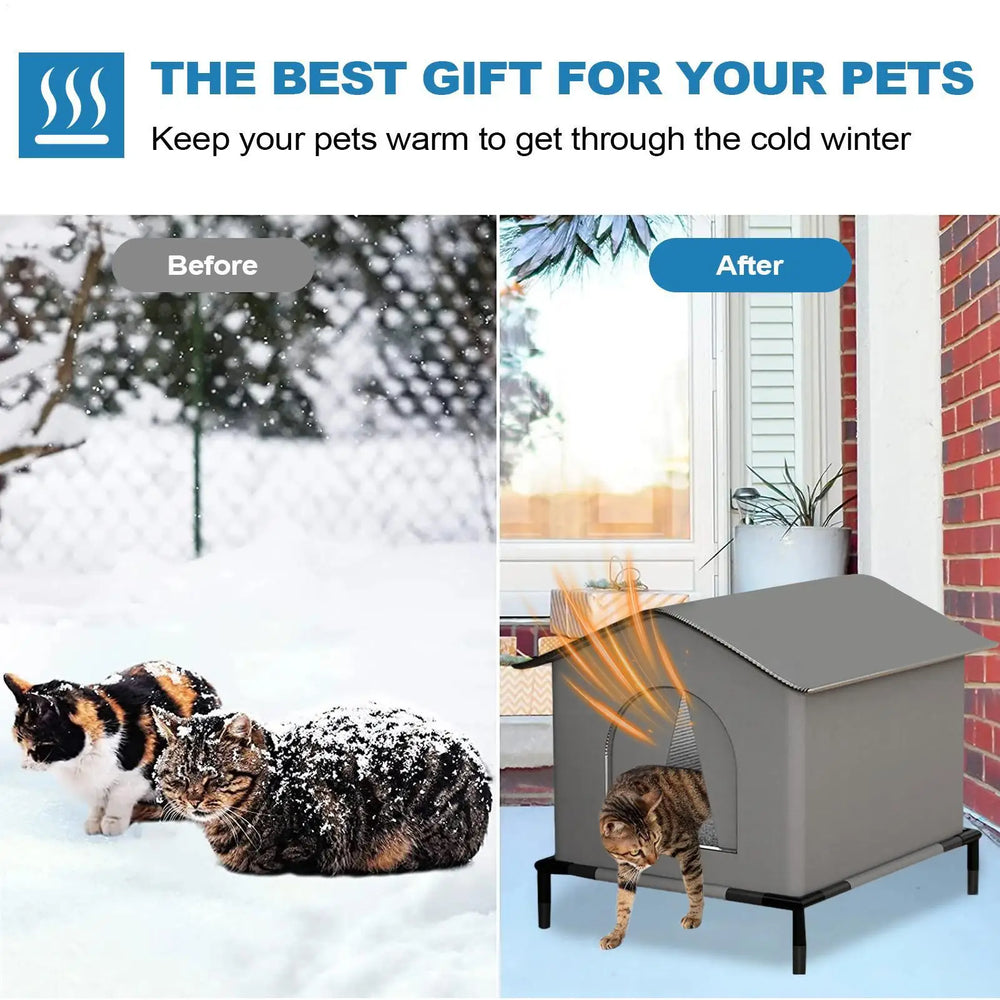 Stray tabby cat entering a weatherproof outdoor cat shelter