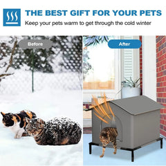 Stray tabby cat entering a weatherproof outdoor cat shelter