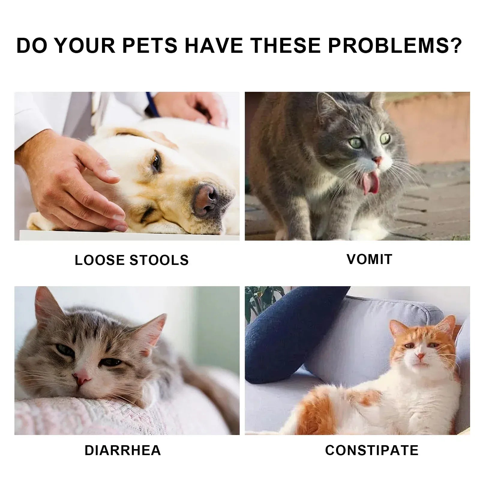 Yegbong Pet Health Drops - 50ml Multi-Vitamin Liquid for Cats & Dogs, Immune Support & Anxiety Relief Supplement for Puppies & Kittens