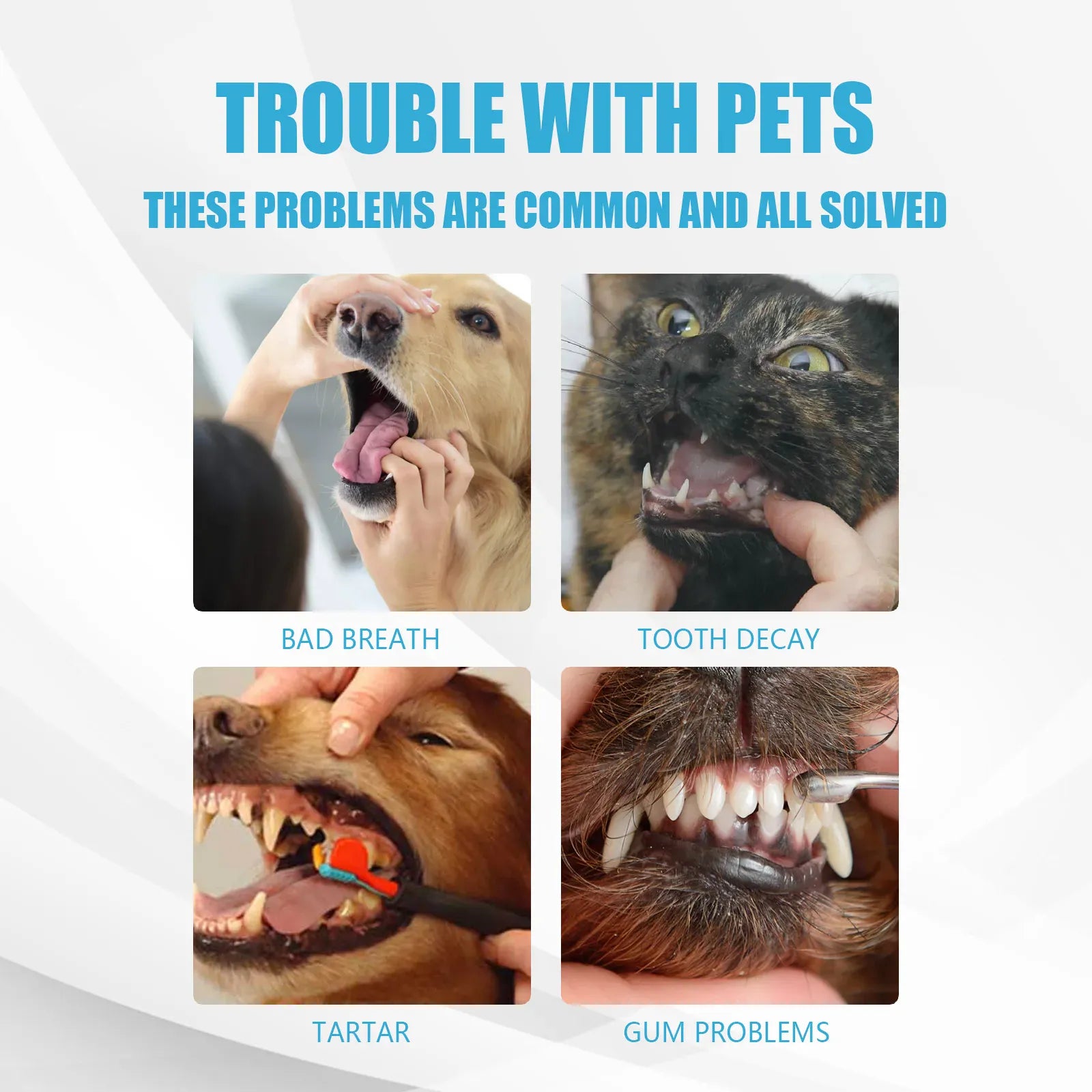 YEGBONG Pet Toothpaste – Edible Formula for Dogs & Cats, Tartar Control, Freshens Breath, Gentle Oral Cleaning, All Breeds Daily Use